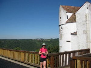 The Castle Wildenstein