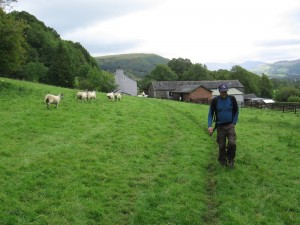 Randy in a sheep field