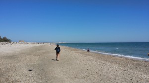 Beach scene