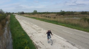 cycling in Camargue