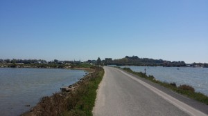 Causeway to the beach at Montpellier