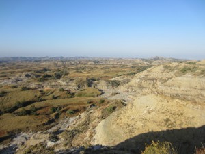 Theodore Roosevelt National Park