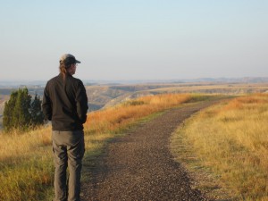 bird, Theodore Roosevelt National Park