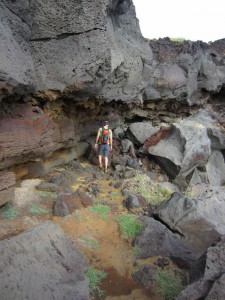 Hiking to the Green Sand Beach