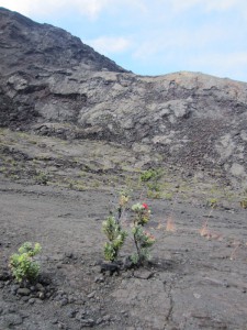 Lava lake in Hawaii Volcanoes National Park