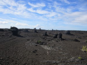 lava trees