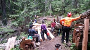 WTA - Working on bridges with the Backcountry Horsemen
