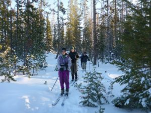 Cross-country skiing near Bend, Oregon