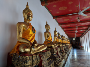 row of golden Buddhas