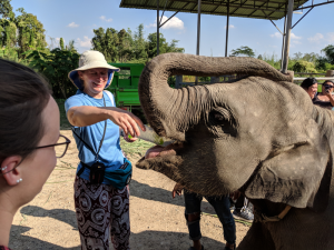 baby elephant with bottle