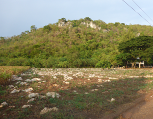 Central Thailand countryside