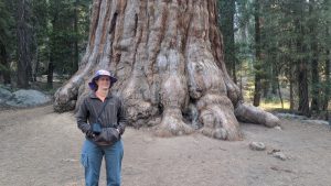 Sequoia National Park