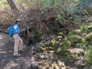 Hiking in California