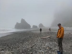 Washington coast