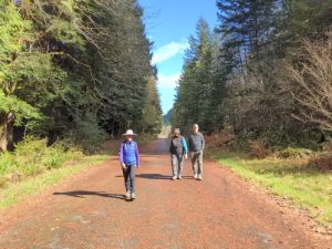 Elwha River Road