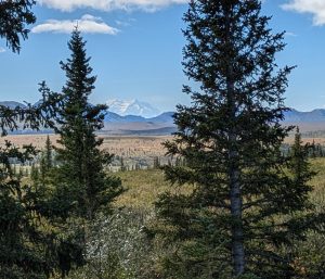 Denali (the mountain)