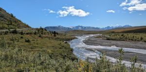 Denali National Park