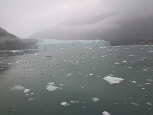 Glacier Bay National Park