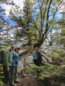 Yukatania Point, Skagway Alaska